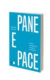 panepace_3d panepace_3d